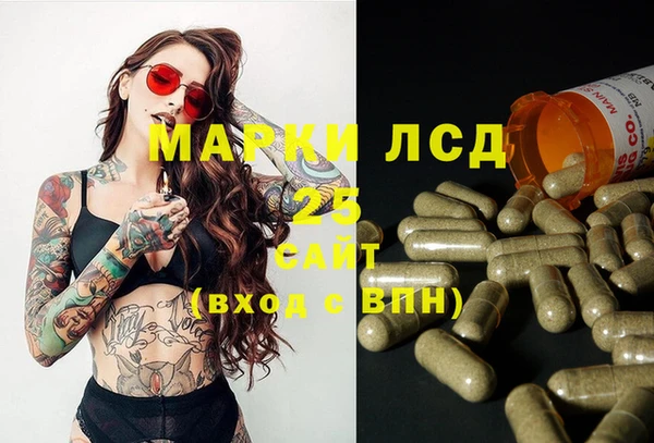 a pvp Новодвинск