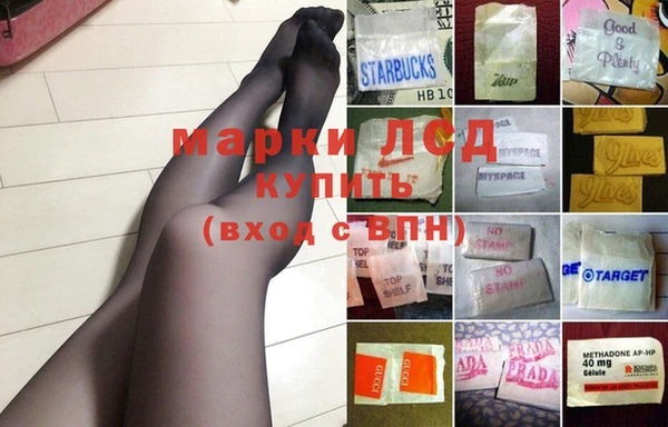 ECSTASY Няндома