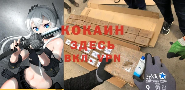 a pvp Новодвинск