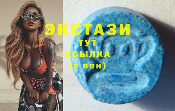 ПСИЛОЦИБИНОВЫЕ ГРИБЫ Новозыбков