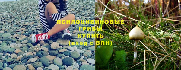 ECSTASY Няндома
