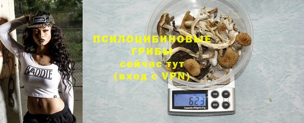 ПСИЛОЦИБИНОВЫЕ ГРИБЫ Новозыбков