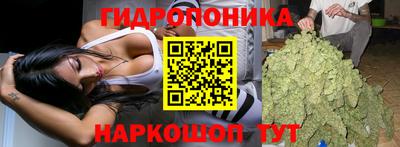 кокс Донецк