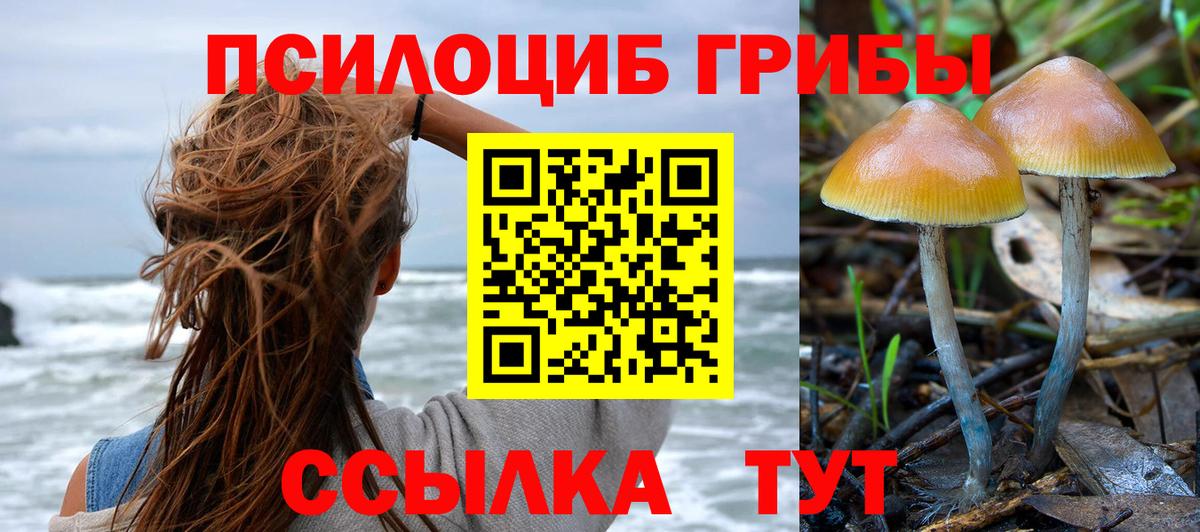 Псилоцибиновые грибы мицелий  Вход с VPN  где найти наркотики  Магадан 