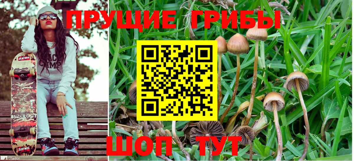 Псилоцибиновые грибы Magic Shrooms Магадан